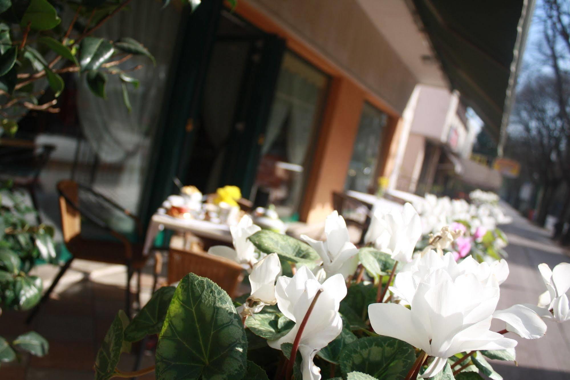Hotel Damodoro Pordenone Exterior photo